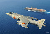 Kinetic  AMMO 8505 1/48 Harrier AV-8S Matador Spanish, American, British versions
