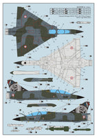 Dream Model DM720022 1/72 Dassault Mirage 2000D