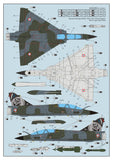 Dream Model DM720022 1/72 Dassault Mirage 2000D