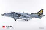 UMa Model D1003 1/48 AV-8B Harrier II Plus