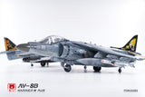 UMa Model D1003 1/48 AV-8B Harrier II Plus