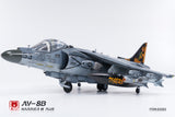 UMa Model D1003 1/48 AV-8B Harrier II Plus